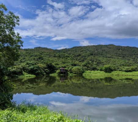 【南涌廚房書房】煮讀筆記：七月初的南涌雜記